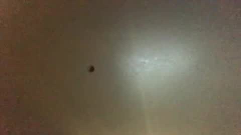 Snapshot of hardforyou3030 chatting on September 28, 11:21 pm For You online show from September 28, 11:21 pm