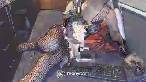 Snapshot of hardfucking_mistress chatting on March 3, 12:48 pm Irina online show from March 3, 12:48 pm