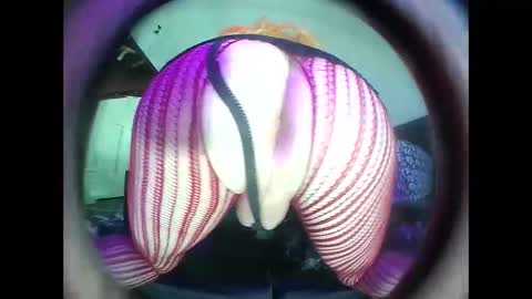 Snapshot of hardkoregigi chatting on September 19, 8:31 pm hardkoregigi online show from September 19, 8:31 pm