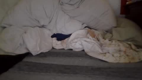 harry1cannary online show from October 7, 8:22 am