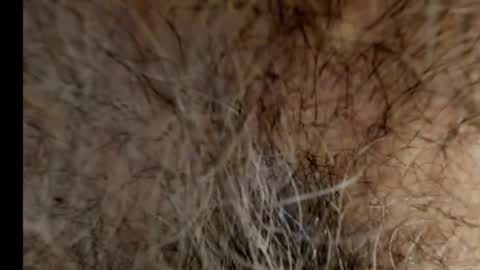 harry_banana online show from February 21, 8:40 am