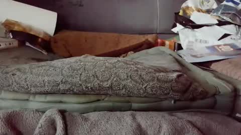 Snapshot of hartl1112 chatting on December 4, 10:24 am hartl1112 online show from December 4, 10:24 am