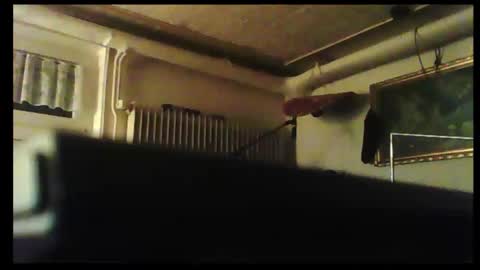 hot n  nasty online show from December 8, 3:24 pm