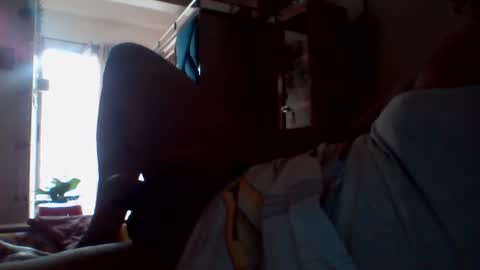 hastra hot online show from March 17, 8:50 am