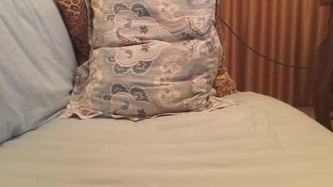 havedream1m online show from October 13, 9:42 am