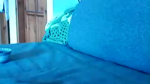 havier282874 online show from July 25, 8:56 am