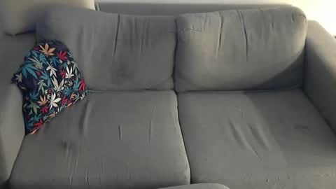 Snapshot of head8k chatting on February 3, 11:48 am memoric online show from February 3, 11:48 am