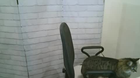 Helen online show from January 13, 5:24 am