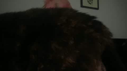 Snapshot of hell0kittyblood chatting on March 2, 2:32 pm Bunnie Rotz online show from March 2, 2:32 pm