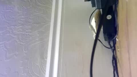 Snapshot of hellobunbunx0 chatting on December 27, 4:43 pm hellobunbunx0 online show from December 27, 4:43 pm