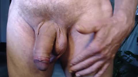 Snapshot of herbie_222 chatting on May 20, 1:17 pm Herbie online show from May 20, 1:17 pm