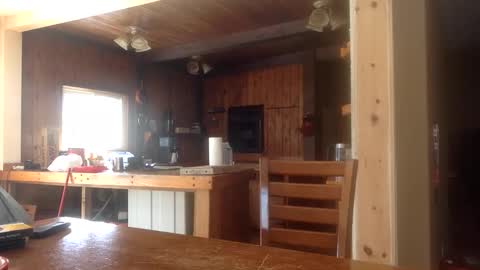 Jason online show from February 26, 6:51 pm