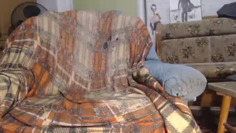 herrzauberns online show from February 1, 1:34 am