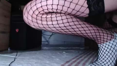 Snapshot of hibo66 chatting on December 16, 3:11 am InMyAss online show from December 16, 3:11 am