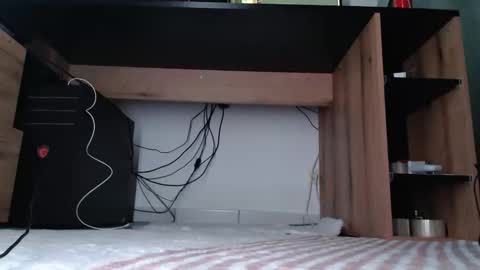 Snapshot of hibo66 chatting on January 11, 3:33 am InMyAss online show from January 11, 3:33 am