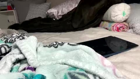 Bondage blondiie online show from June 5, 4:30 am