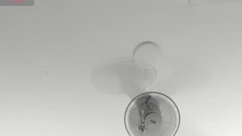 hilary_tailor online show from January 15, 11:04 am