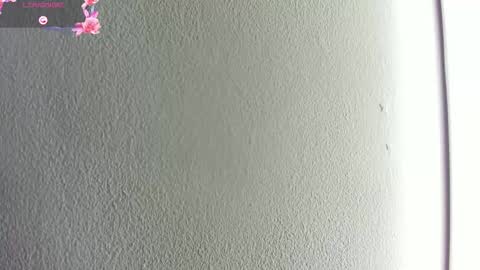 Hilary Thomsom online show from January 10, 11:56 am