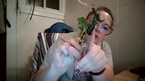 Snapshot of hippihope420 chatting on October 9, 11:25 pm Bella online show from October 9, 11:25 pm