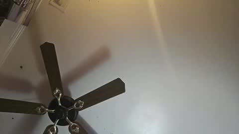 Snapshot of hoglegg99384194 chatting on November 2, 11:01 am hoglegg99384194 online show from November 2, 11:01 am