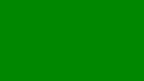 hoglegg99384194 online show from June 24, 12:53 am