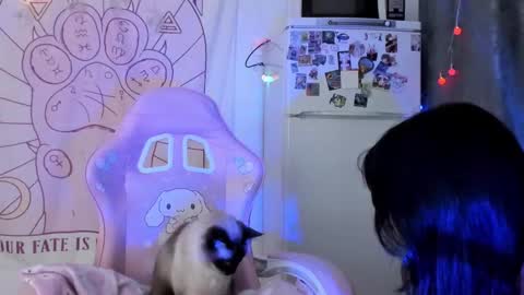 Ho Lee Sheet online show from January 18, 6:23 pm