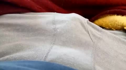 holycannoli123 online show from February 5, 3:49 pm