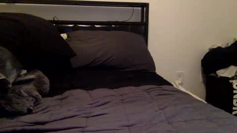 Richie online show from January 11, 2:16 am