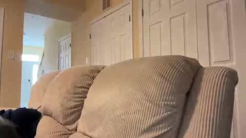 Snapshot of honey_man14 chatting on February 17, 1:53 pm honey_man14 online show from February 17, 1:53 pm