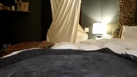 Snapshot of honeyhive_4u chatting on October 17, 6:27 am Honey online show from October 17, 6:27 am