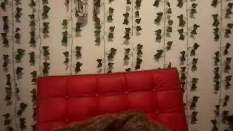 Snapshot of honeyy_89 chatting on November 28, 4:37 am honeyyy89 online show from November 28, 4:37 am