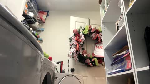 hornieecum online show from January 20, 11:24 am