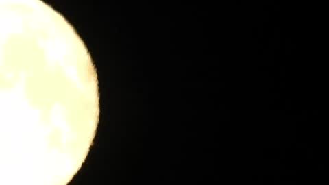 horny_edgucated online show from July 30, 9:36 pm