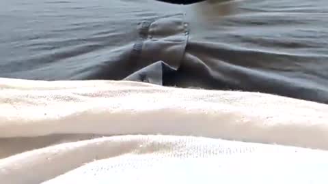 Tiny cock online show from April 25, 6:05 pm