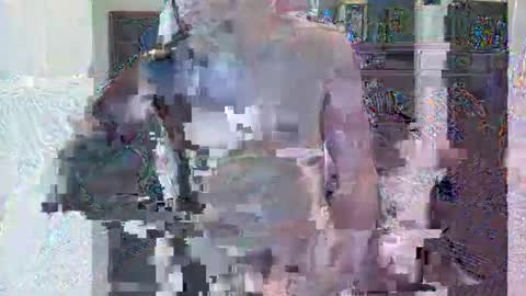 HornyGringo online show from November 22, 3:27 am