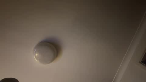 Snapshot of hornyonelooking1 chatting on February 2, 11:40 am hornyonelooking1 online show from February 2, 11:40 am