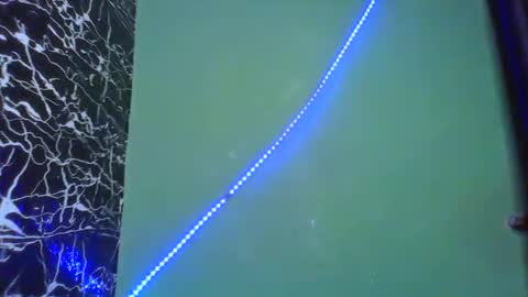 Stella online show from February 14, 8:52 am