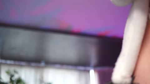 Anais online show from January 19, 9:35 am