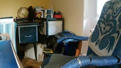 hotleopold online show from August 5, 12:41 pm