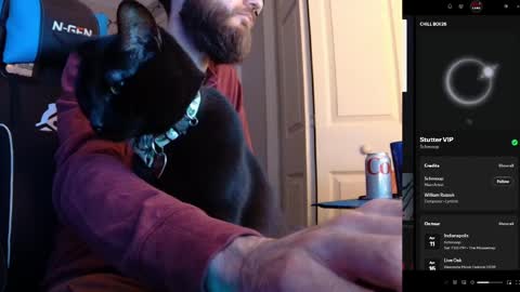 Snapshot of hotpumpkinpies chatting on April 5, 2:31 am hotpumpkinpies online show from April 5, 2:31 am