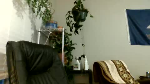 Hottop 1981 online show from July 6, 2:52 am