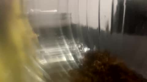 howarudoing online show from October 5, 1:59 am