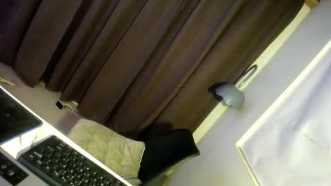 Precious online show from December 29, 6:56 am