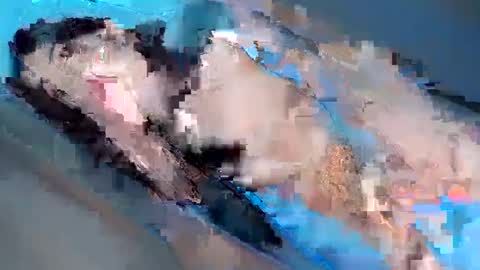 Snapshot of hugecockyanny chatting on February 3, 1:08 pm Yhanie online show from February 3, 1:08 pm