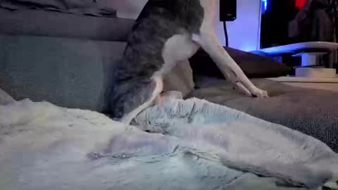 Snapshot of hugolandcam chatting on March 10, 8:12 pm Hugo online show from March 10, 8:12 pm