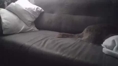 Snapshot of huguit026 chatting on February 4, 11:27 pm huguit026 online show from February 4, 11:27 pm