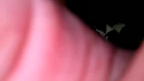 hunk1987_ online show from April 27, 4:32 am