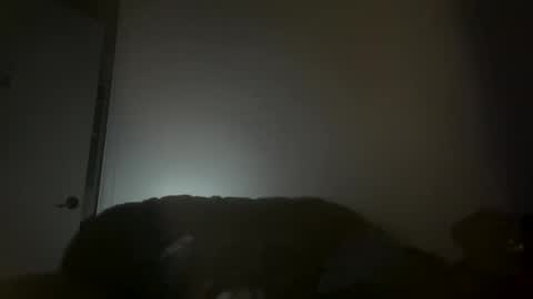 hustlemacc online show from November 16, 2:11 pm