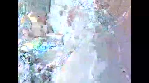 jamaeca online show from November 20, 10:48 am