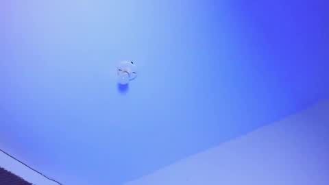 NAHO online show from October 1, 3:12 am